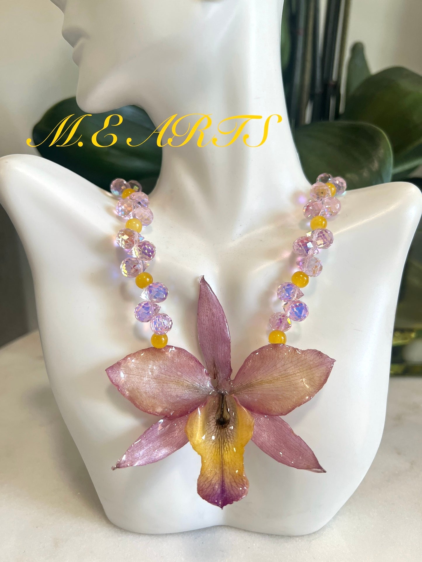 Pink & Yellow Orchid