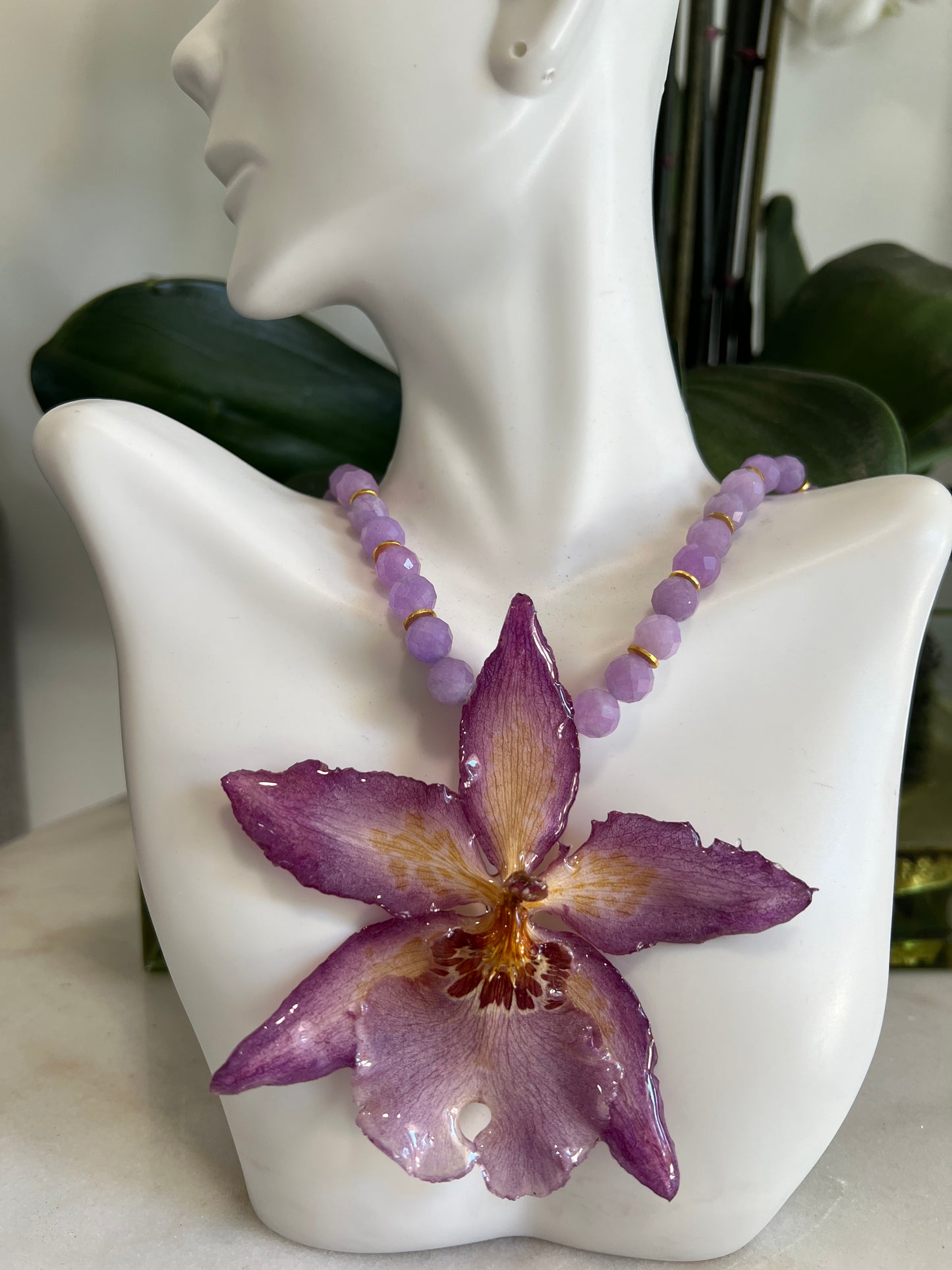 Violet Star Orchid 2