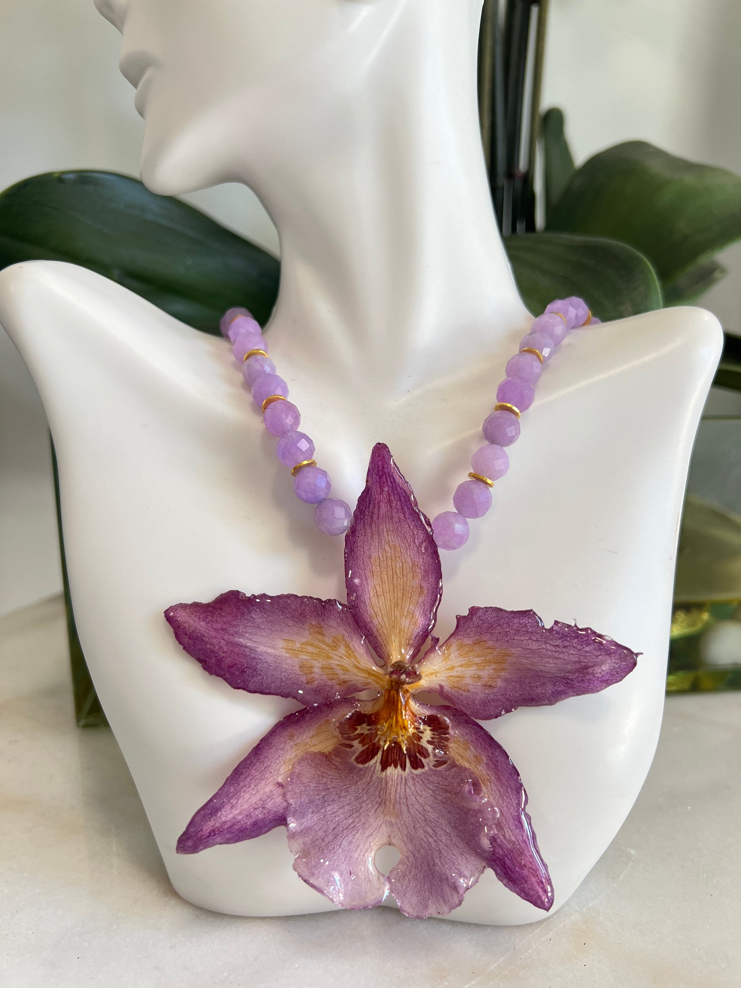 Violet Star Orchid 2