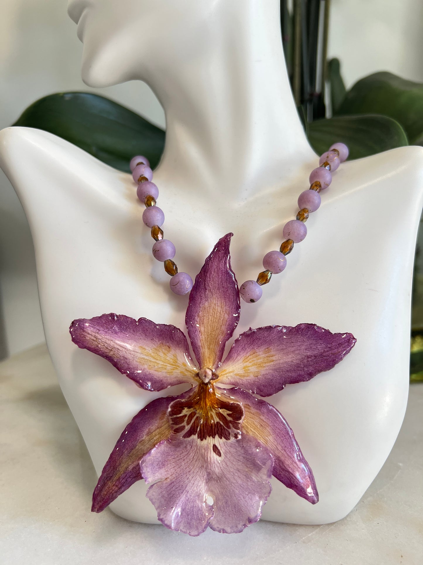 Violet Star Orcid 1