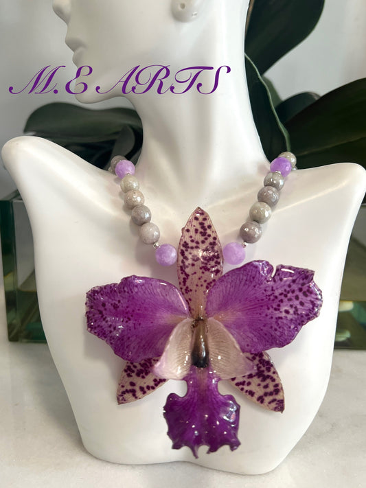 Purple Leopard Orchid